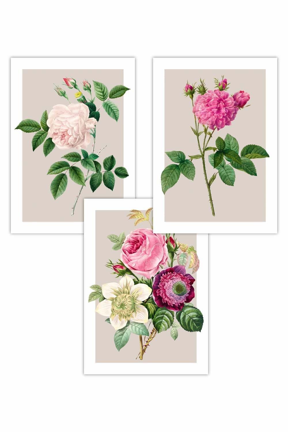 Set of 3 Vintage Pink and White Roses on Beige Art Posters